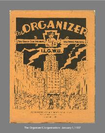 The Organizer